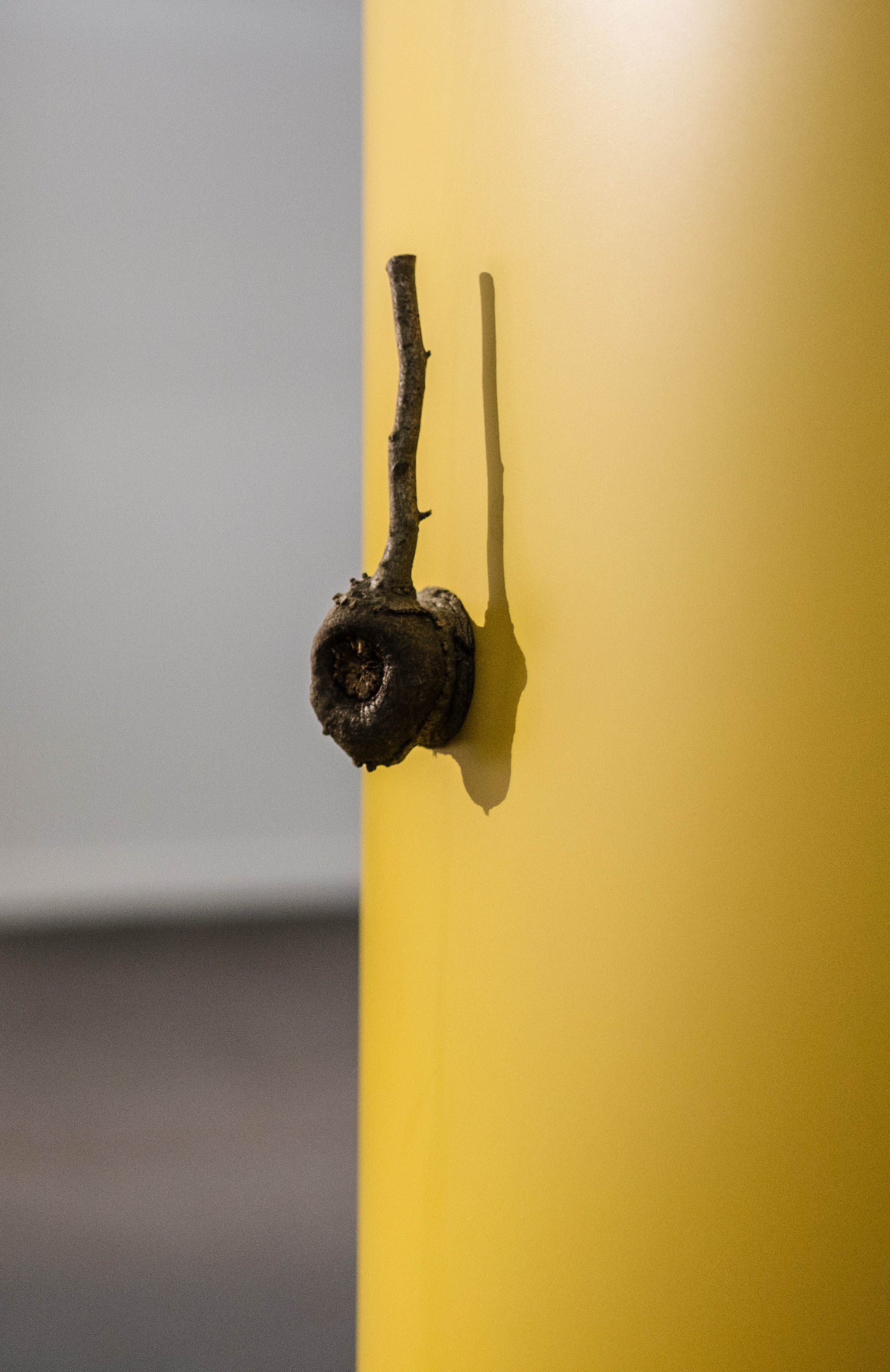 Pietro Fortuna, Sans titre, 2017, Photo Altrospazio