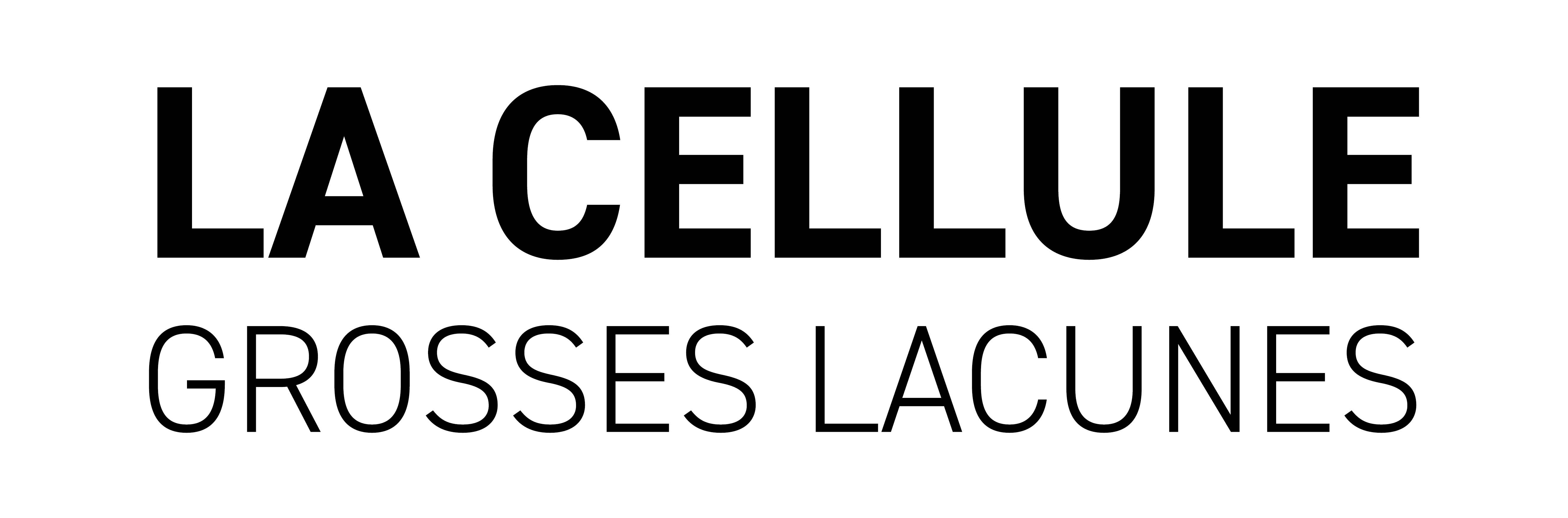 Logo La Cellule de Grosses Lacunes