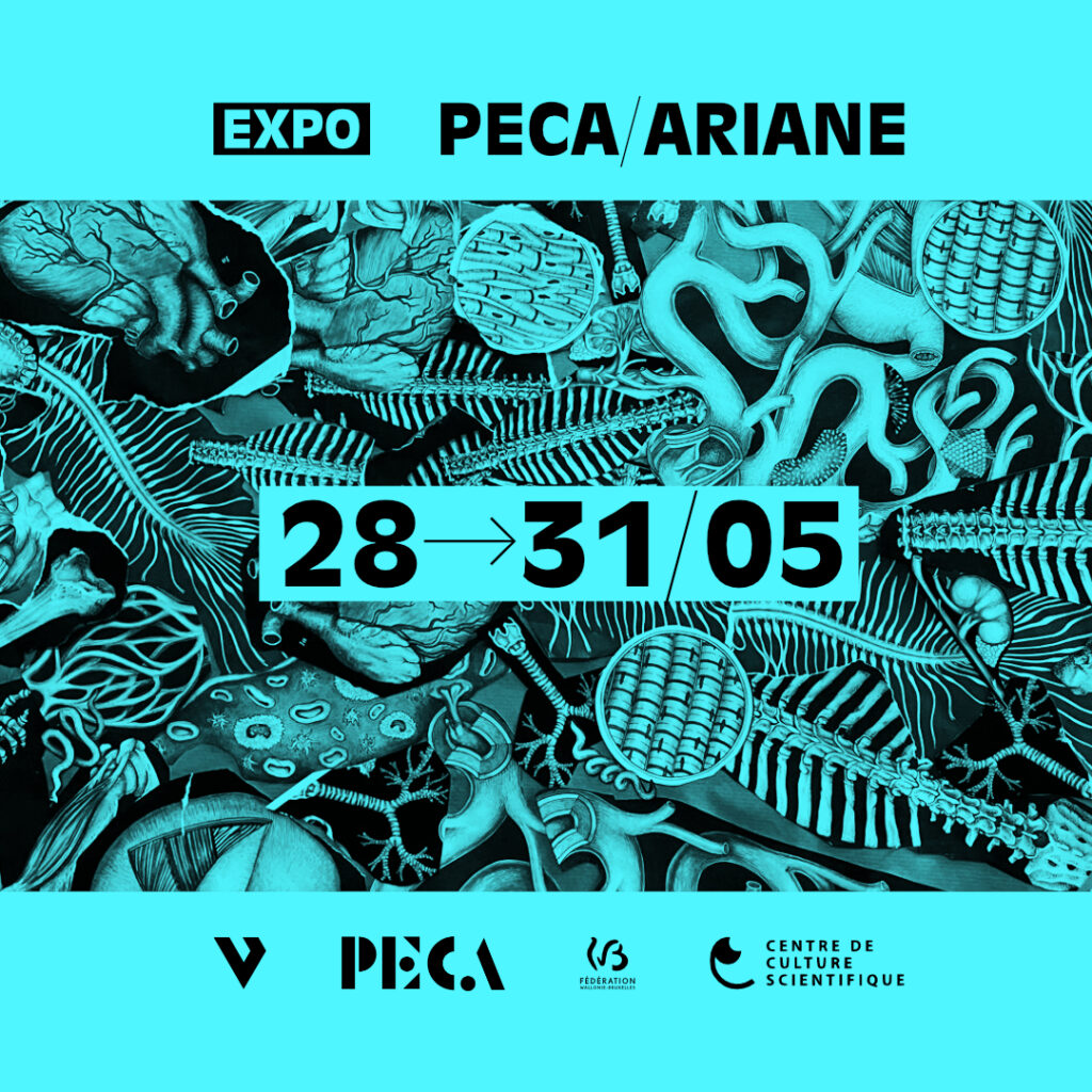 Exposition PECA/Ariane