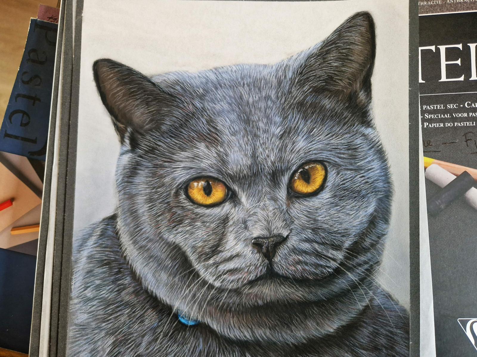 Chartreux, dessin de Ninon Cobergh