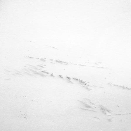 9-Traces_-Trace-huile-sur-toile-100-x-100-2012.-c-Didier-Coeck