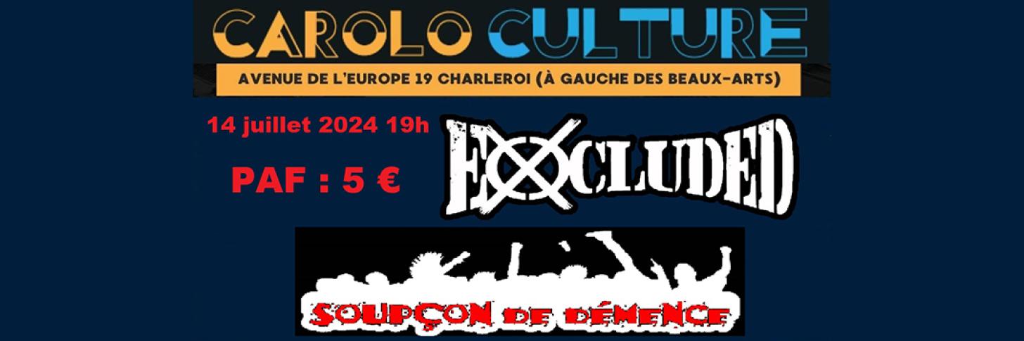 Carolo Culture Punk