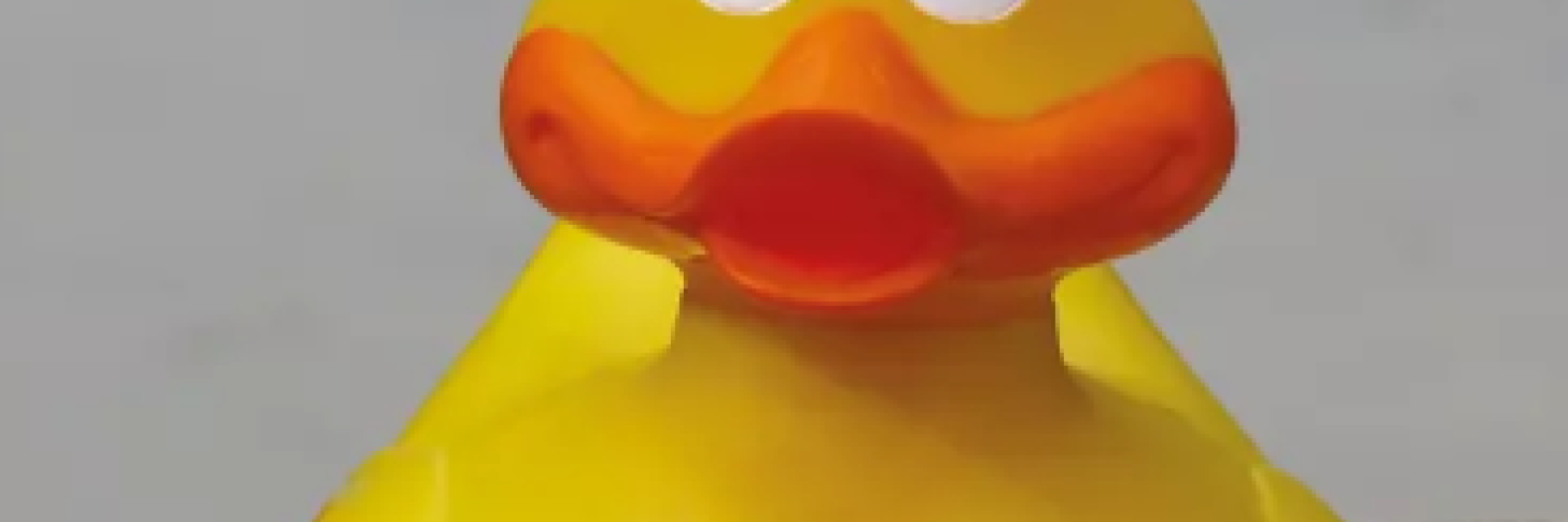 À la recherche des canards perdus