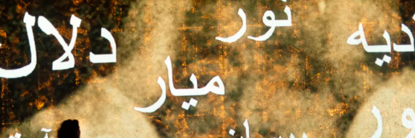 Je ne ha&iuml;rai pas