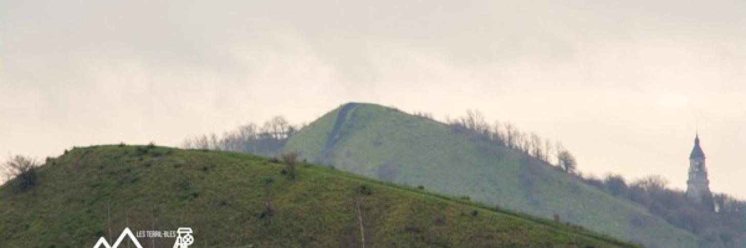 Visite guidée sur le terril des Piges à Dampremy
