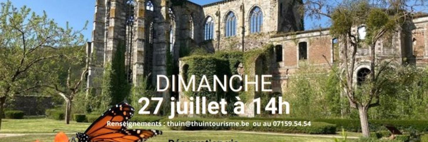 Visite guidée : "L'Abbaye d'Aulne, sa faune et sa flore"