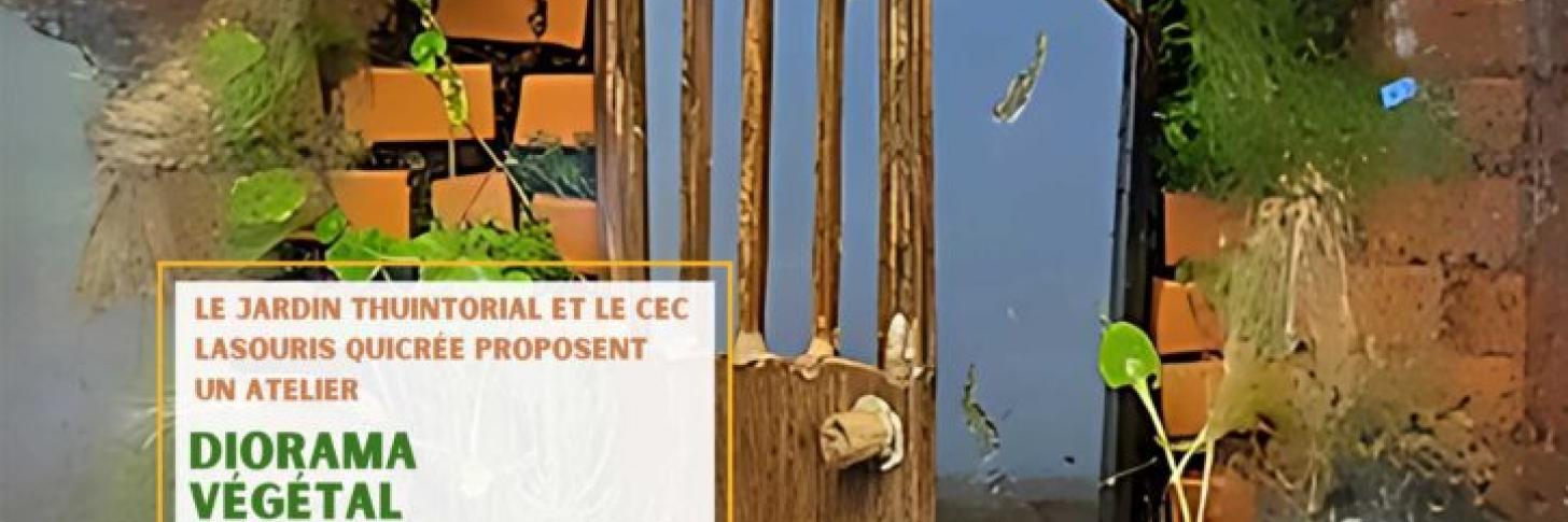 Atelier : Diorama végétal