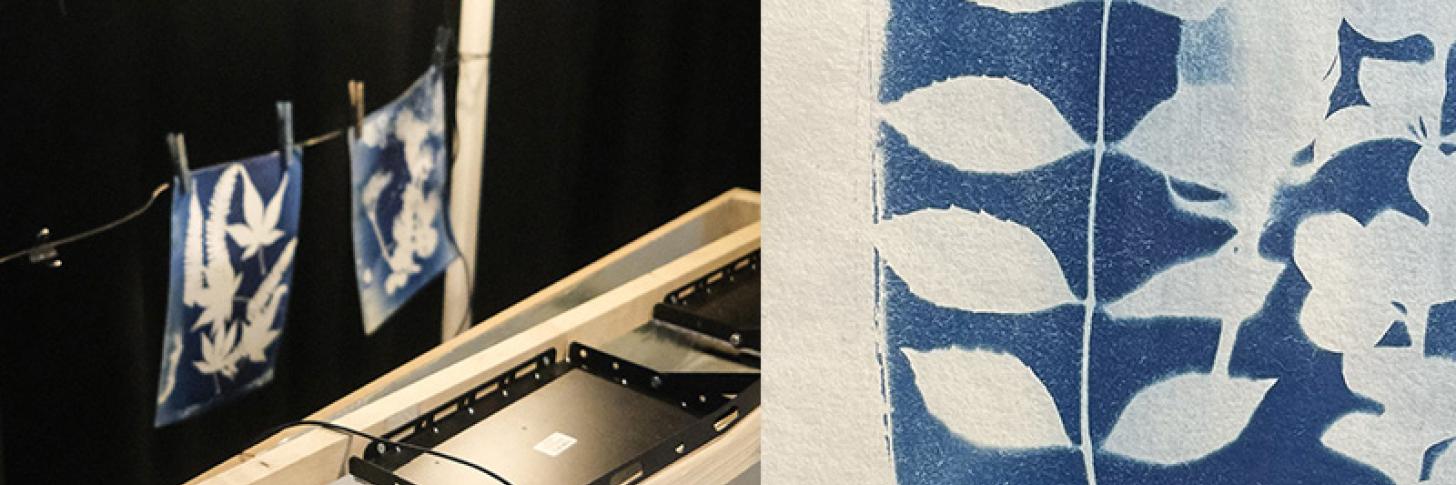 Workshop Cyanotype