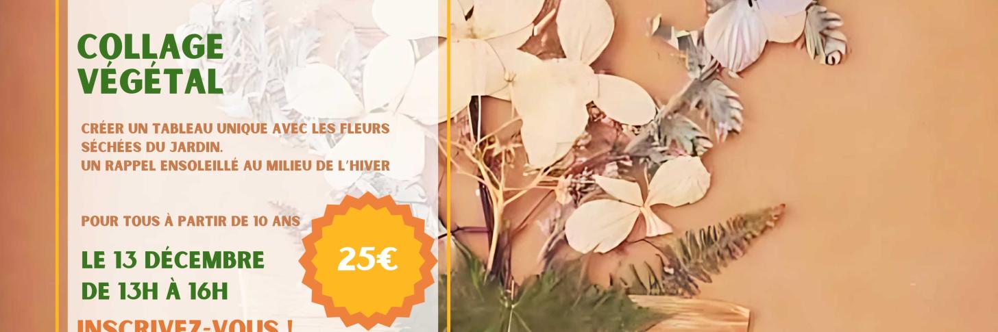 Atelier : Collage Végétal 
