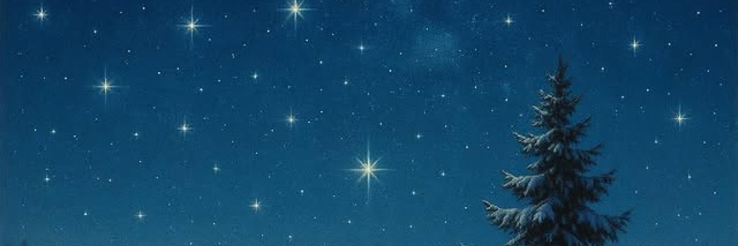 Atelier tandem : Etoiles d'hiver (à partir de 8 ans)