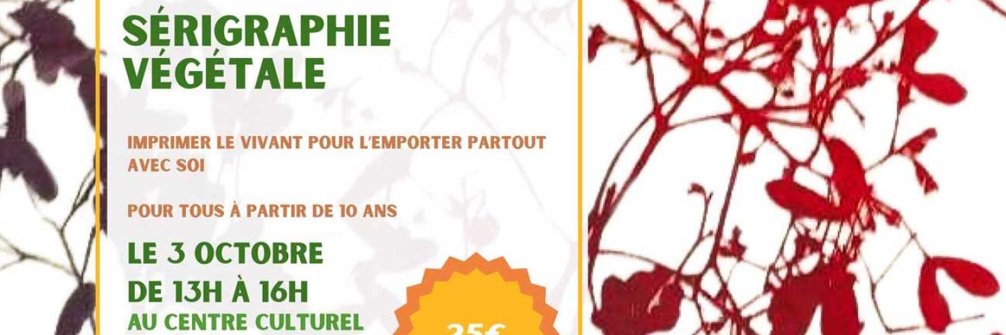 Workshop : S&eacute;rigraphie V&eacute;g&eacute;tale