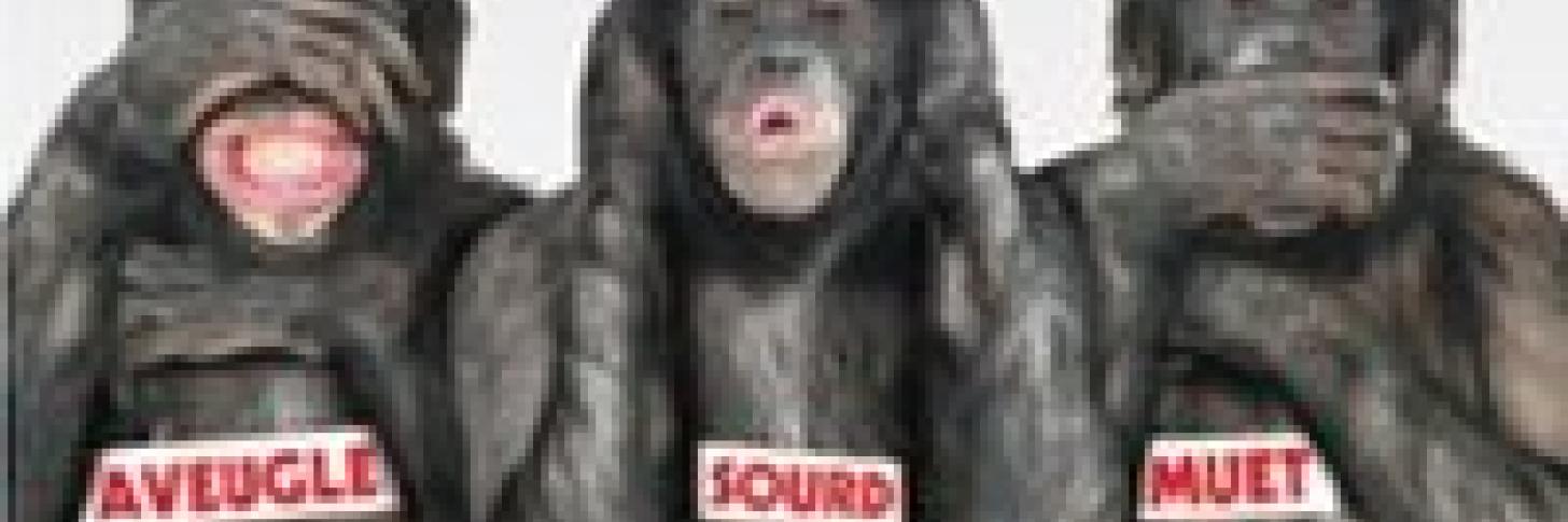 LES BONOBOS