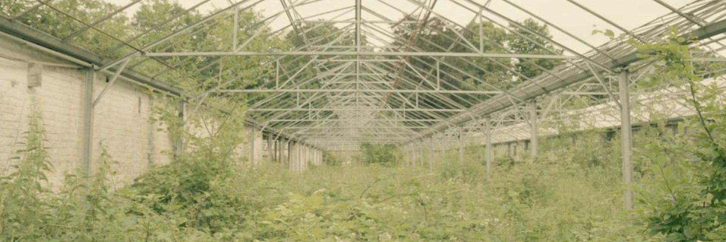 PBA - Aficionadocs: "Les Terres d'ici" de St&eacute;phane Vuillet