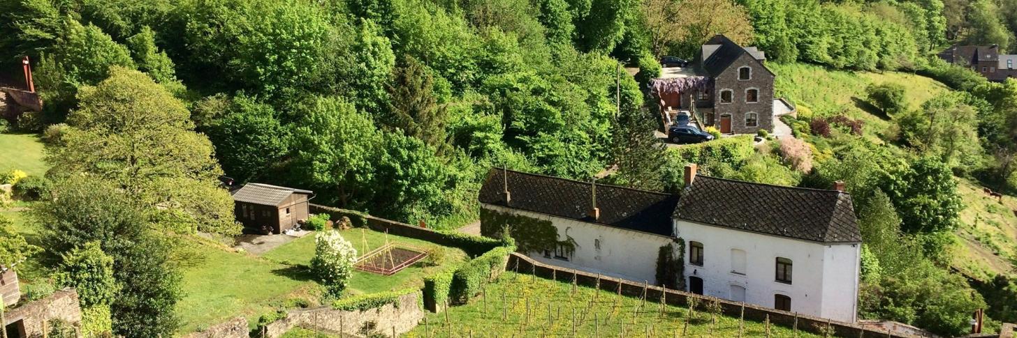 Visite guid&eacute;e de Thuin et son vignoble dans les Jardins Suspendus