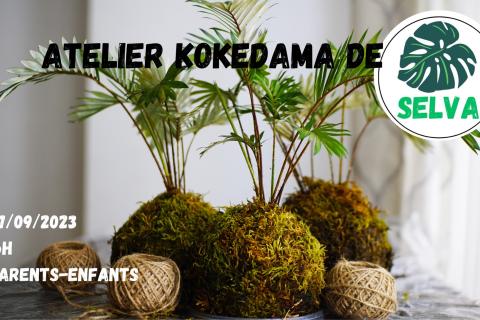 Kokedama
