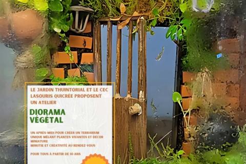 Atelier : Diorama végétal