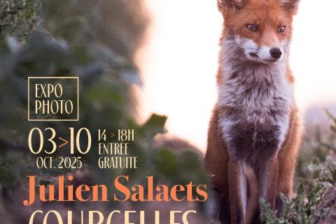 Courcelles, Nature Sauvage