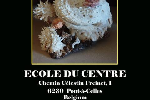 Coquillage