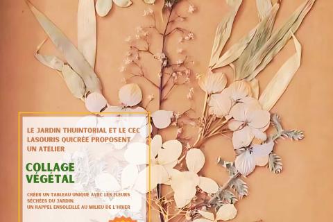 Atelier : Collage Végétal 