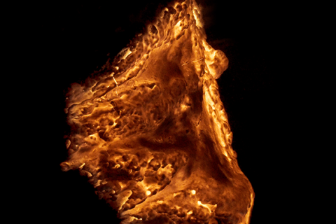 Expo vidéo | Fire Excavation, Anatole Mélot