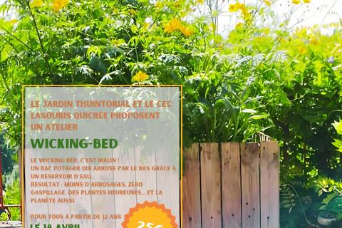 Atelier : Wicking-bed 