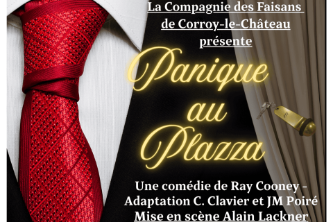 Affiche "Panique au Plazza"