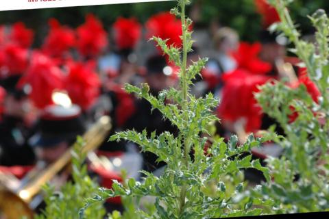 Expo#32 : Marcher en Entre-Sambre-et-Meuse &ndash; Images par Pierre Jean Foulon