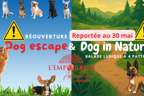 Ouverture balade canine