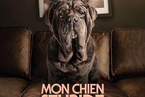 Cin&eacute; Club &laquo; Mon chien Stupide &raquo;