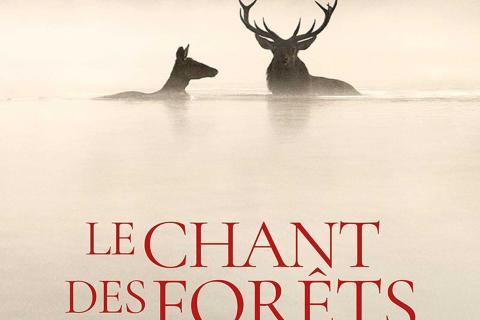 Cin&eacute;-doc : Le Chant des for&ecirc;ts &agrave; Lobbes
