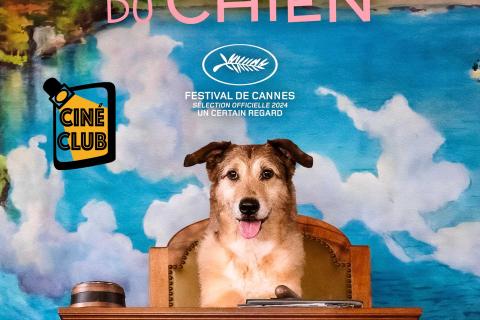 Cin&eacute;-club : Le proc&egrave;s du chien