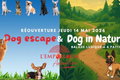 Event banner