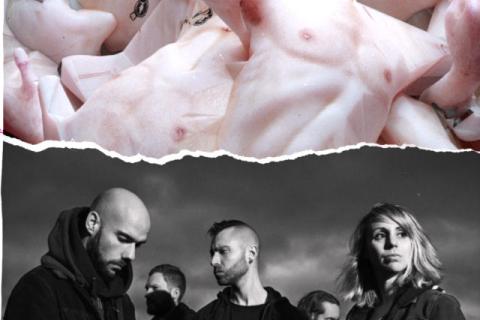 Le Vecteur - Counsouling Sounds Night - OVTRENOIR +1