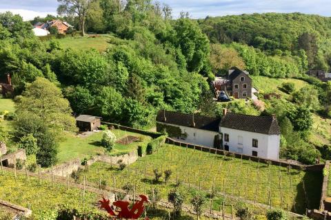 Visite guid&eacute;e de Thuin et son vignoble dans les Jardins Suspendus